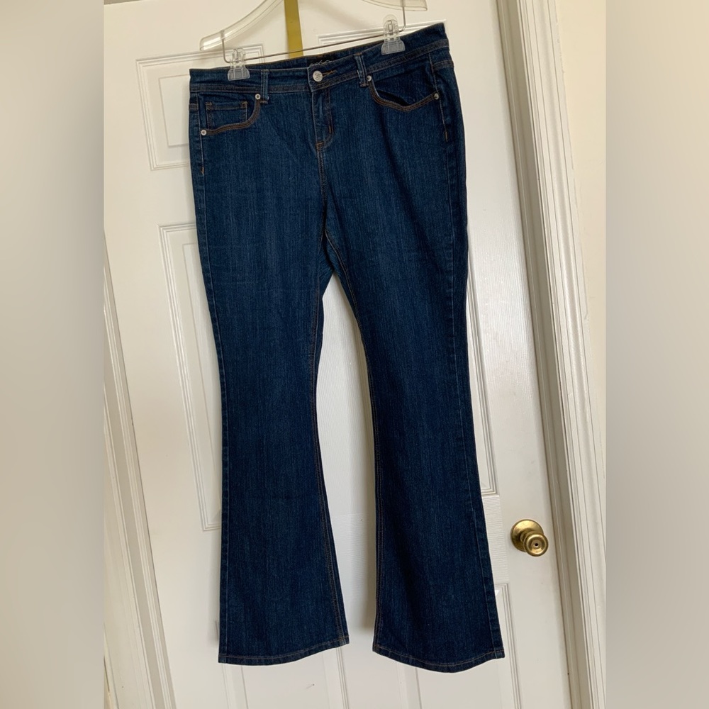 GREAT pair of denim jeans. Jane Doe brand.